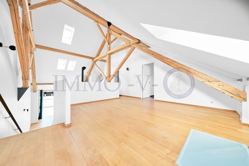 SPACIOUS RENOVATED DUPLEX WITH CHARACTER (1)