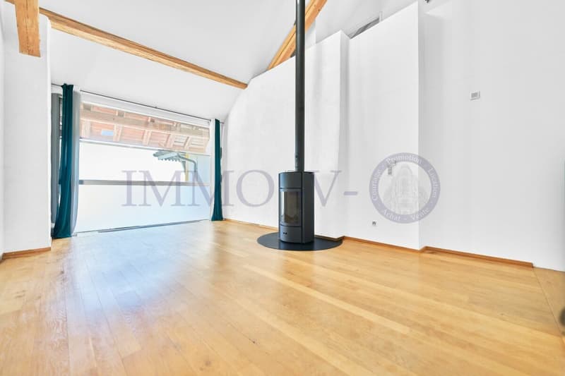 SPACIOUS RENOVATED DUPLEX WITH CHARACTER (3)
