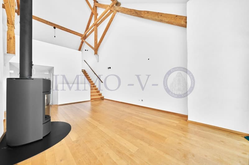 SPACIOUS RENOVATED DUPLEX WITH CHARACTER (2)