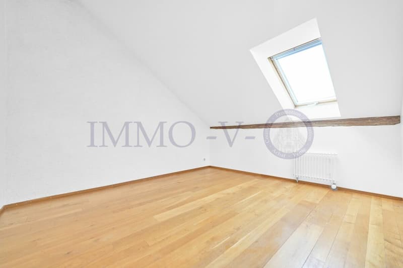 SPACIOUS RENOVATED DUPLEX WITH CHARACTER (8)