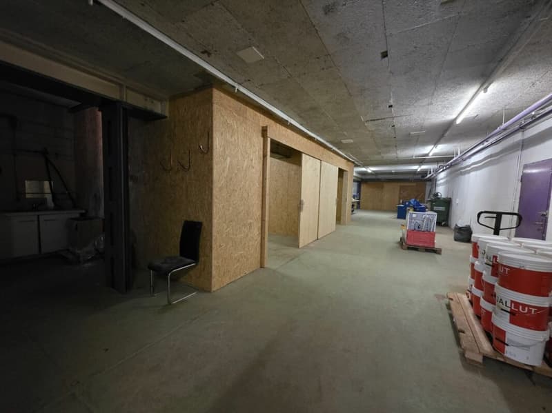 IN AFFITTO - Grande Deposito/Laboratorio di 360 m² - Ideale per Attività Artigianali o Magazzinaggio (5)