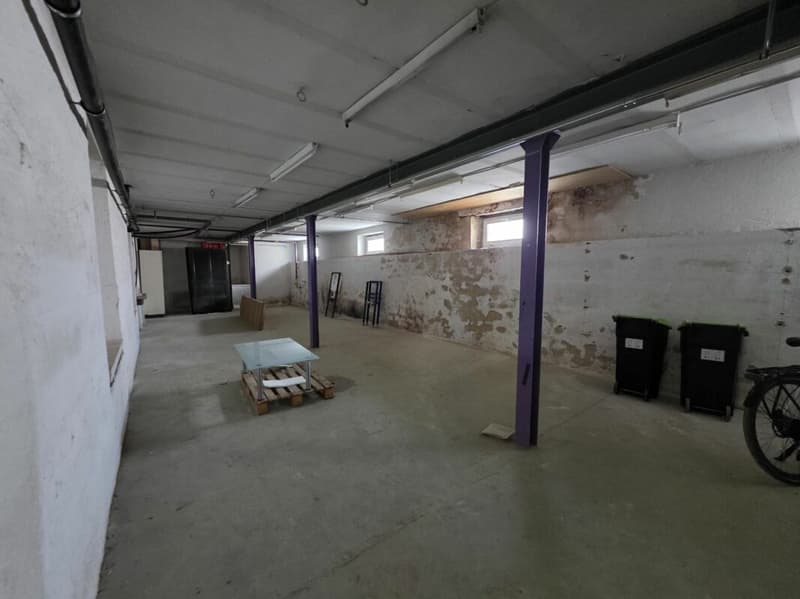 IN AFFITTO - Grande Deposito/Laboratorio di 360 m² - Ideale per Attività Artigianali o Magazzinaggio (2)