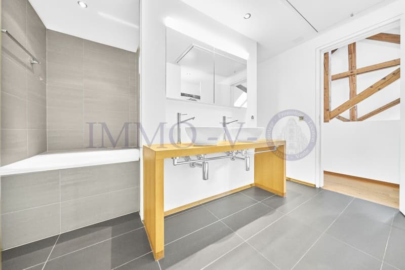 SPACIEUX DUPLEX RENOVE AVEC CACHET (9)