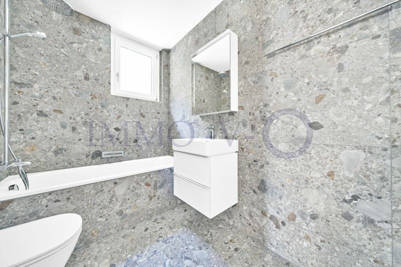 NEUF DE HAUT STANDING AVEC BALCON-TERRASSE ET VUE PANORAMIQUE - LOT 1 (13)