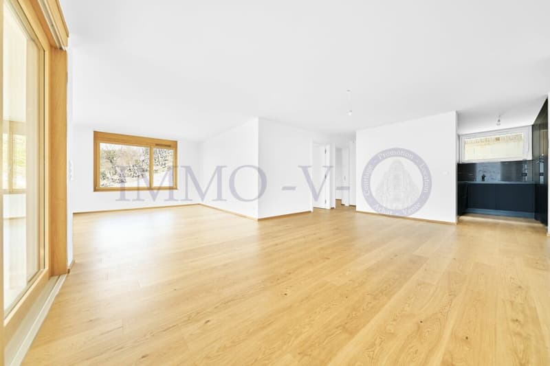 NEUF DE HAUT STANDING AVEC BALCON-TERRASSE ET VUE PANORAMIQUE - LOT 3 (7)