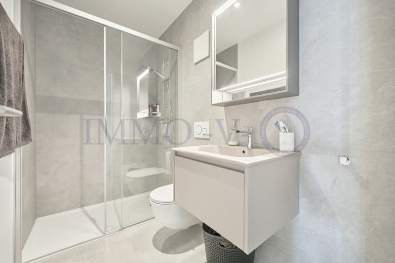 Contemporary high-standard apartment with large balcony (7)