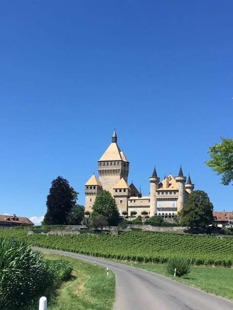 Villa indipendente con piscina a Vufflens-le-Château: Superbo potenziale di ristrutturazione (2)