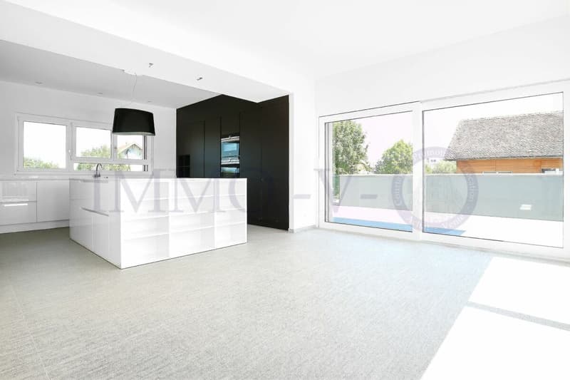 LUXURY ATTIC APARTMENT WITH LARGE TERRACE OF 117M2 (4)