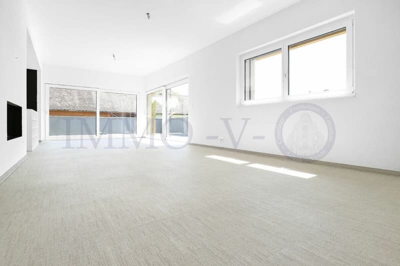 LUXURY ATTIC APARTMENT WITH LARGE TERRACE OF 117M2 (3)