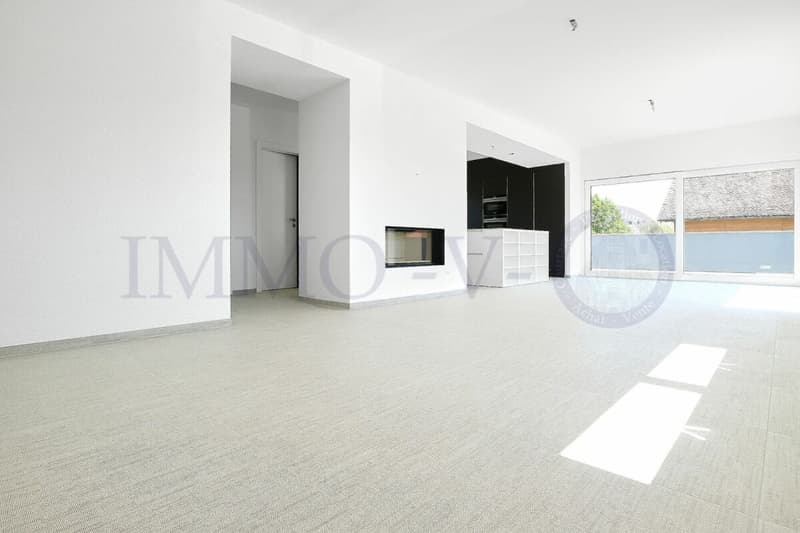 LUXURY ATTIC APARTMENT WITH LARGE TERRACE OF 117M2 (2)