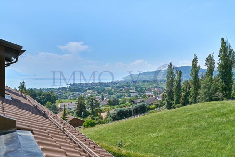 Geräumiges renoviertes Dachgeschoss mit Charme und Balkon-Terrasse mit Seeblick (5)