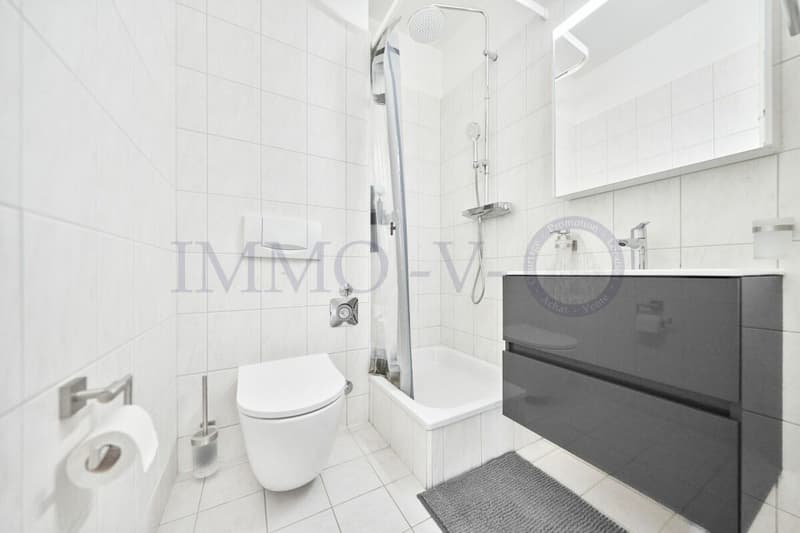 Renovated and furnished apartment with terrace - Ideal location (6)