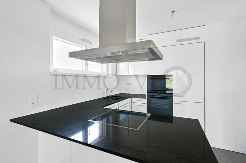 Contemporary High-Standard Apartment with Balcony-Terrace near the Lake (4)