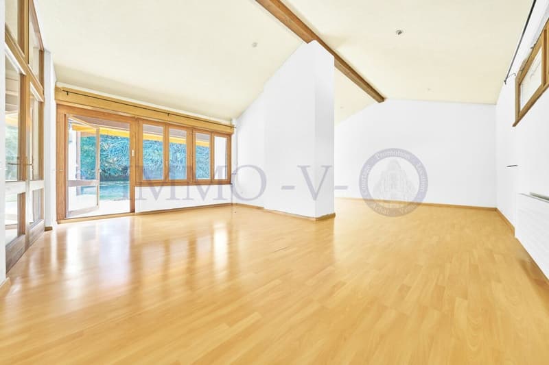 Spacious Villa with Large Idyllic Garden (4)