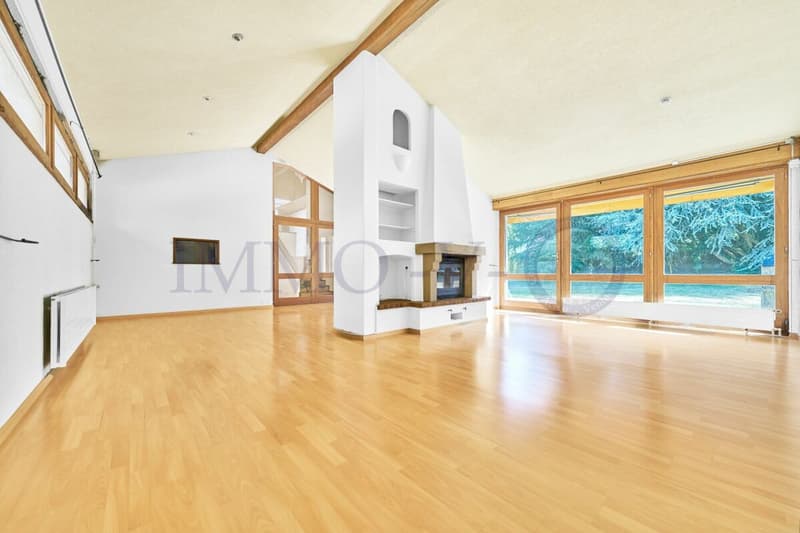 Spacious Villa with Large Idyllic Garden (3)