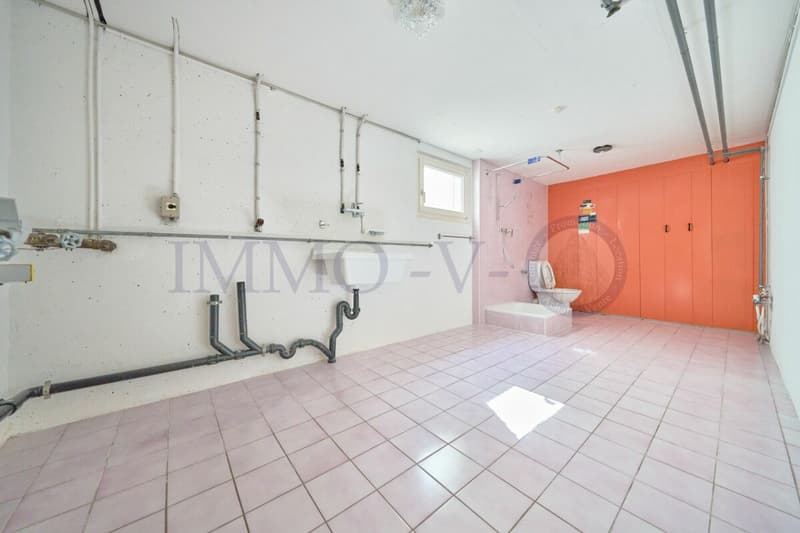 Spacious villa with high standard, large garden and swimming pool (17)