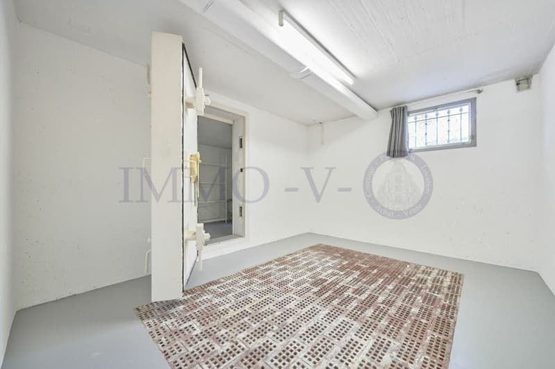 Spacious villa with high standard, large garden and swimming pool (16)
