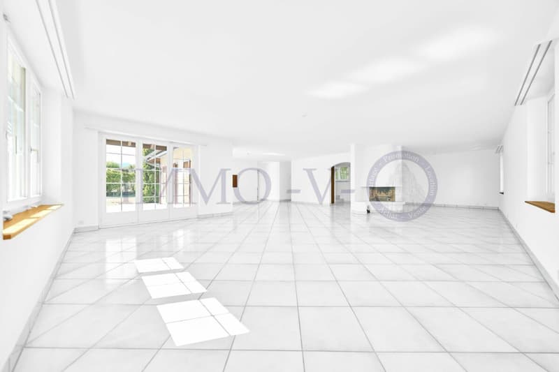 Spacious villa with high standard, large garden and swimming pool (4)
