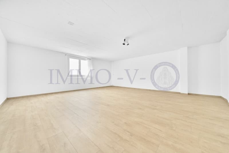 Spacious villa with high standard, large garden and swimming pool (18)