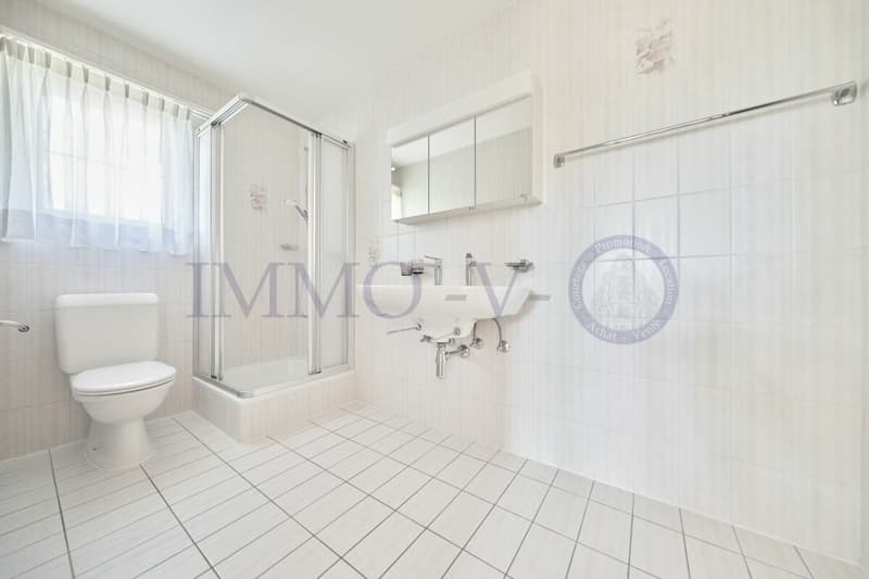 Spacious villa with high standard, large garden and swimming pool (12)
