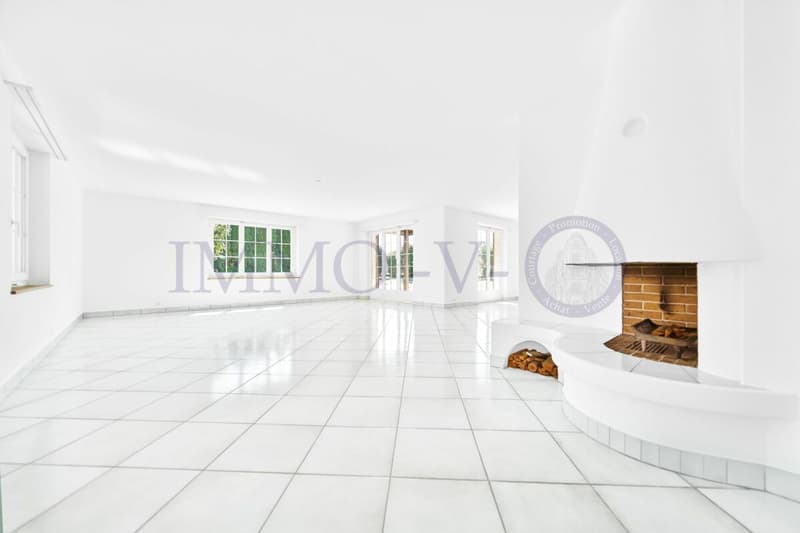 Spacious villa with high standard, large garden and swimming pool (5)