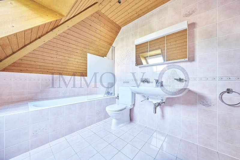 Spacious villa with high standard, large garden and swimming pool (14)