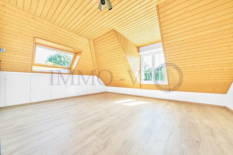 Spacious villa with high standard, large garden and swimming pool (10)