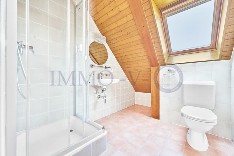 Spacious villa with high standard, large garden and swimming pool (15)
