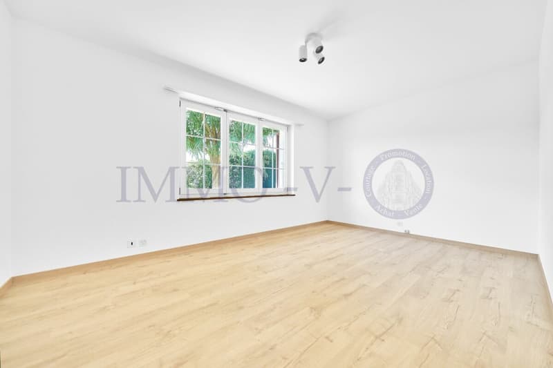 Spacious villa with high standard, large garden and swimming pool (11)