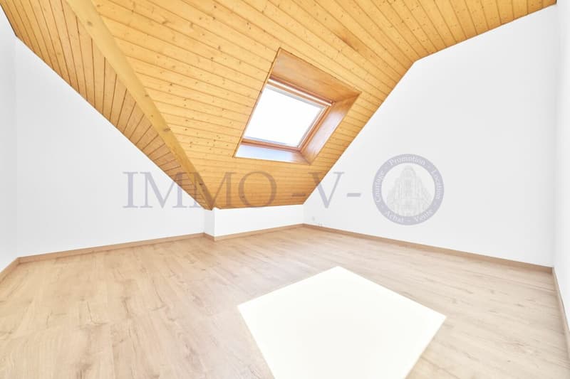 Spacious villa with high standard, large garden and swimming pool (8)
