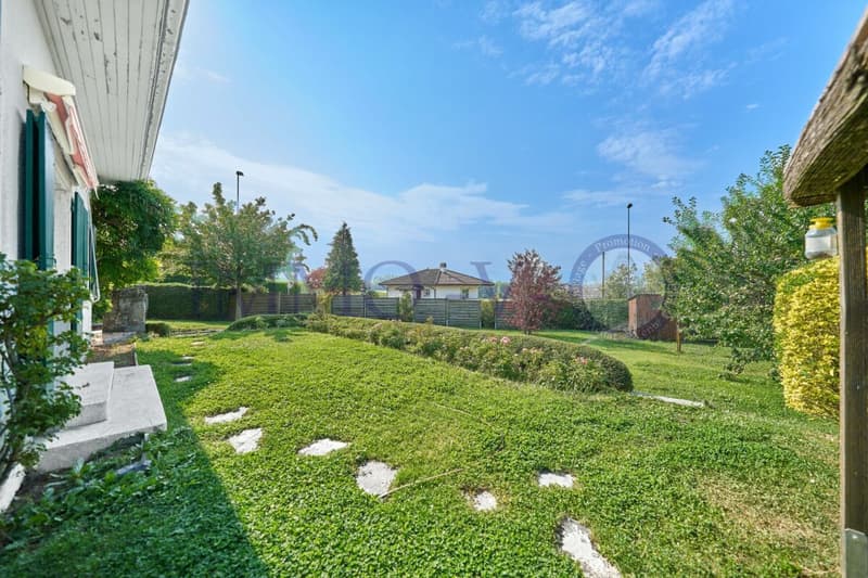 Geräumig und individuell mit großem Garten (16)
