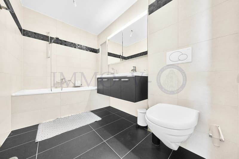 SPACIEUX DUPLEX AVEC TERRASSE ET BALCON (6)