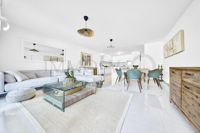 SPACIEUX DUPLEX AVEC TERRASSE ET BALCON (3)
