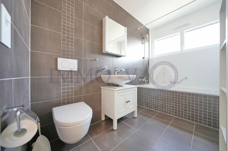 CONTEMPORAIN DE STANDING AVEC BALCON-TERRASSE PROCHE DU LAC (6)