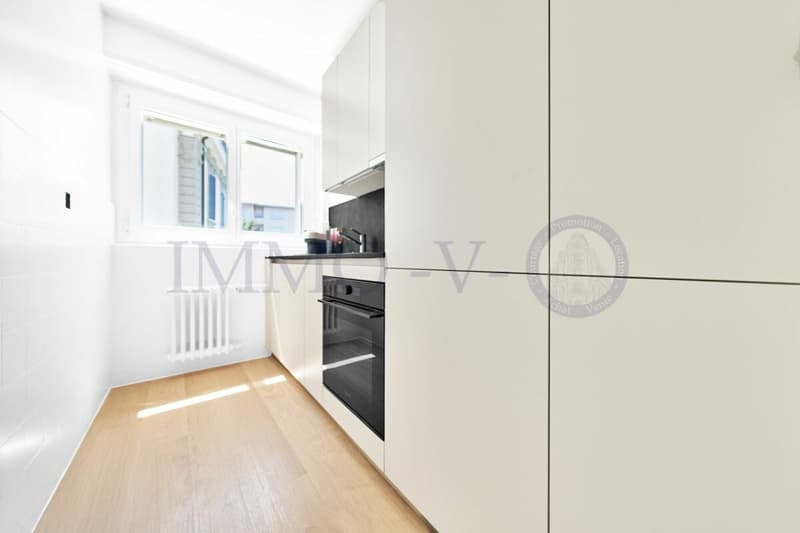 RENOVE ET MEUBLE AVEC TERRASSE - EMPLACEMENT IDEAL (5)