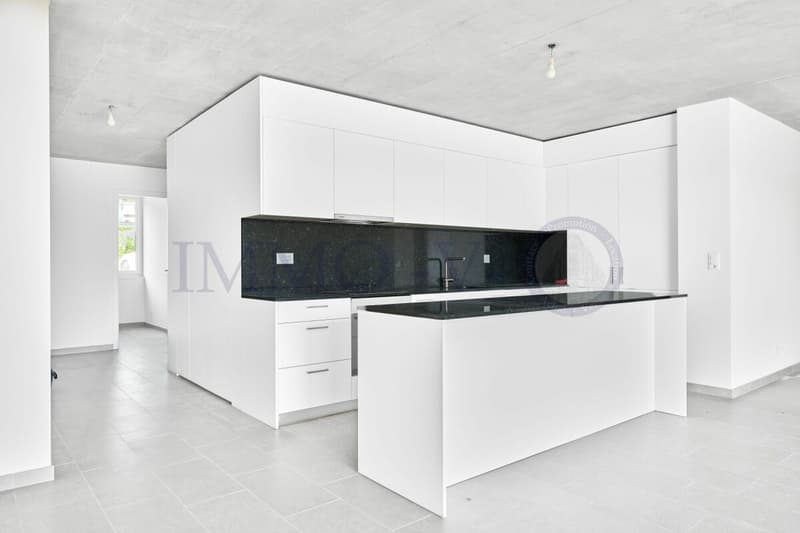 NEUF ET CONTEMPORAIN DE HAUT STANDING AVEC BALCON-TERRASSE (3)