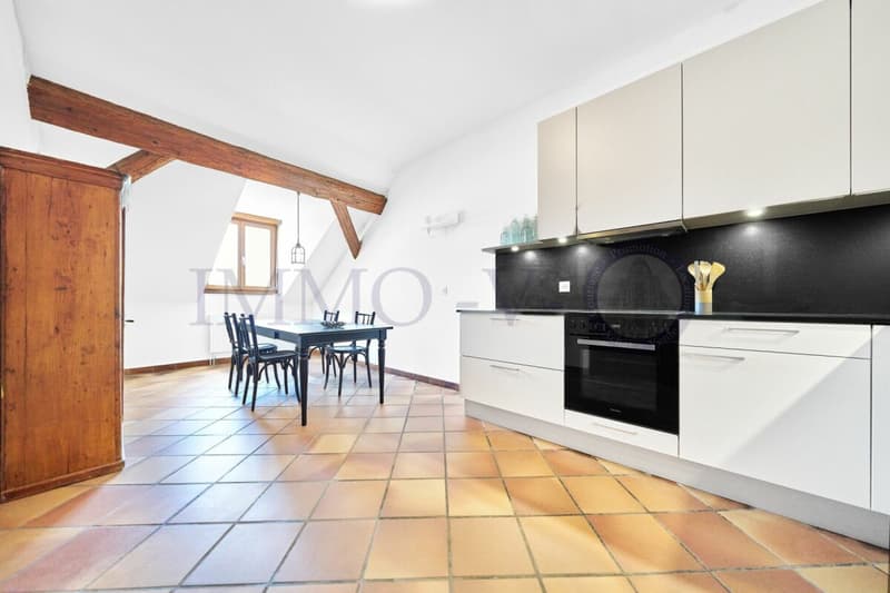 SPACIEUX AVEC CACHET ET EMPLACEMENT IDEAL - MEUBLE (3)
