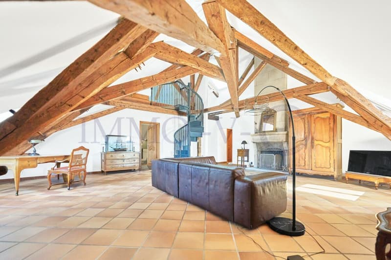SPACIEUX AVEC CACHET ET EMPLACEMENT IDEAL - MEUBLE (1)