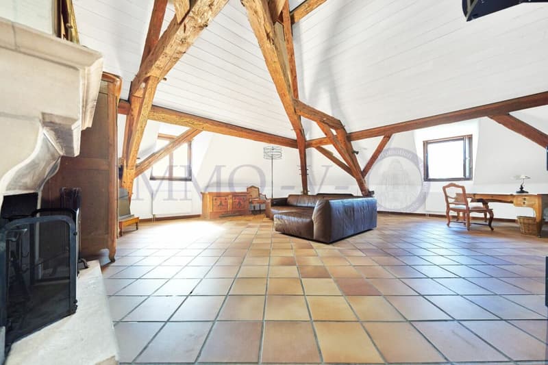 SPACIEUX AVEC CACHET ET EMPLACEMENT IDEAL - MEUBLE (2)