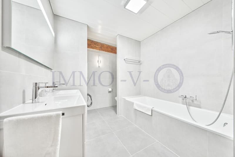 SPACIEUX AVEC CACHET ET EMPLACEMENT IDEAL - MEUBLE (7)