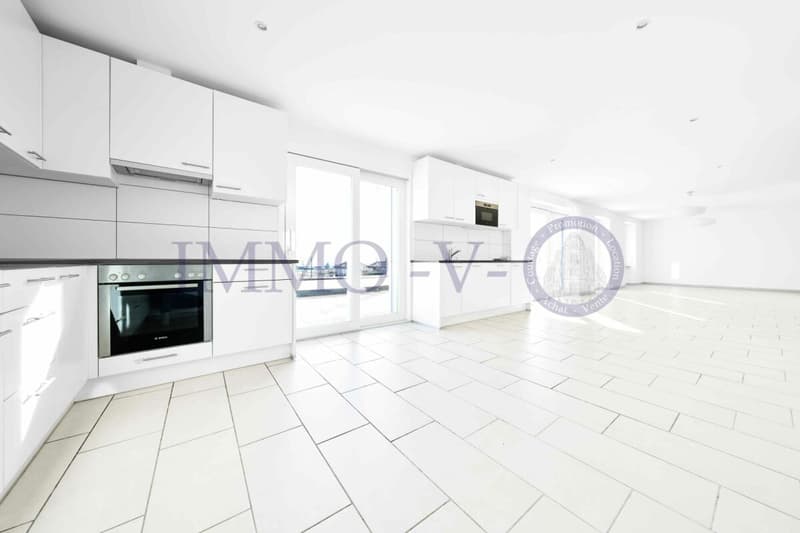 SPACIEUX ET LUMINEUX AVEC GRAND BALCON-TERRASSE DE 60M2 ET VUE LAC (5)