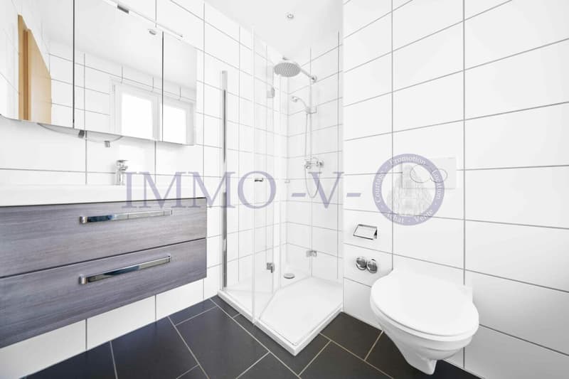 SPACIEUX ET LUMINEUX AVEC GRAND BALCON-TERRASSE DE 60M2 ET VUE LAC (7)