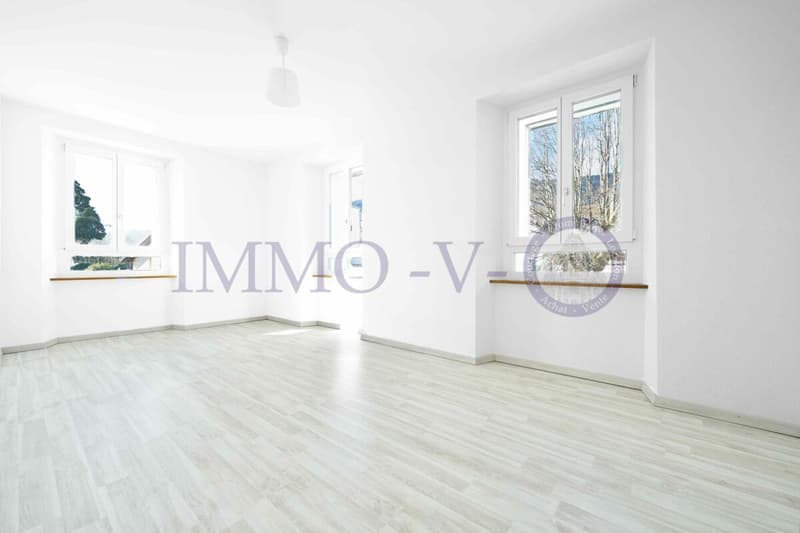 SPACIEUX ET LUMINEUX AVEC GRAND BALCON-TERRASSE DE 60M2 ET VUE LAC (6)