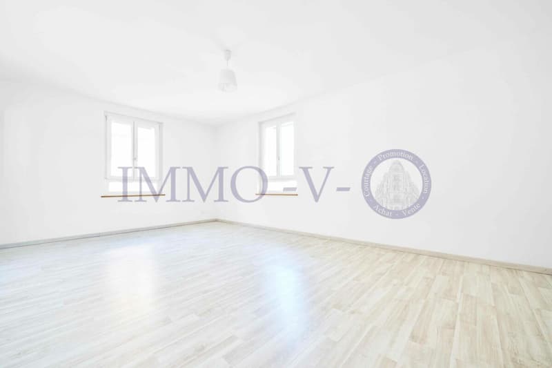 SPACIEUX ET LUMINEUX AVEC GRAND BALCON-TERRASSE DE 60M2 ET VUE LAC (9)