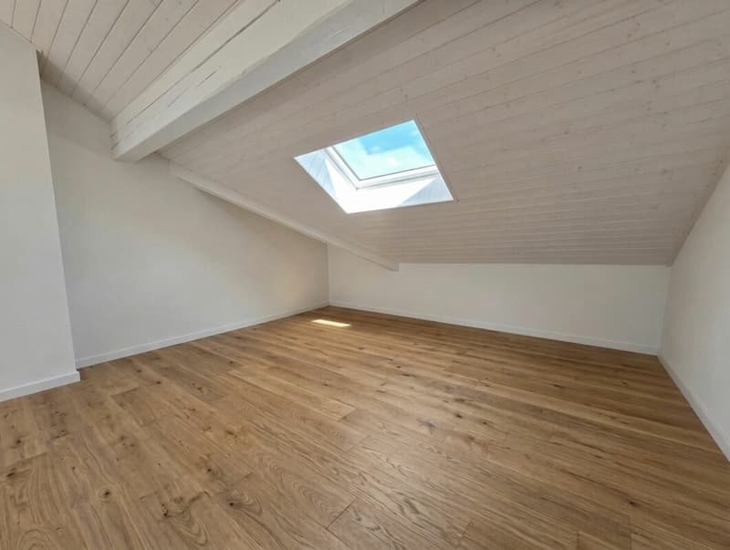 Futur coup de coeur : Triplex 5.5 pièces en fin de rénovation à Chevilly (5)