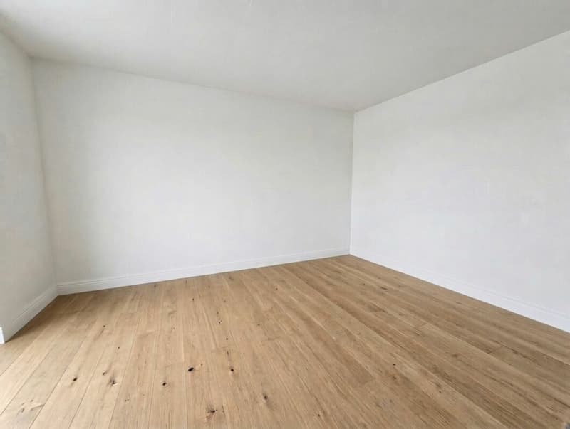 Futur coup de coeur : Triplex 5.5 pièces en fin de rénovation à Chevilly (6)
