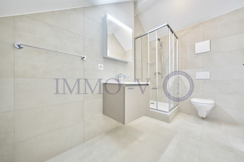 DUPLEX DE STANDING AVEC BEAU VOLUME (5)