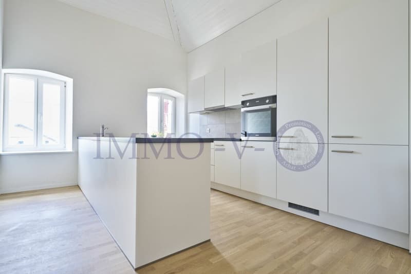 DUPLEX DE STANDING AVEC BEAU VOLUME (3)