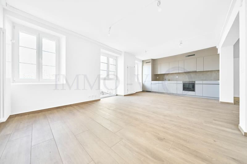 SPACIEUX ET RENOVE AVEC TERRASSE ET EMPLACEMENT IDEAL (1)