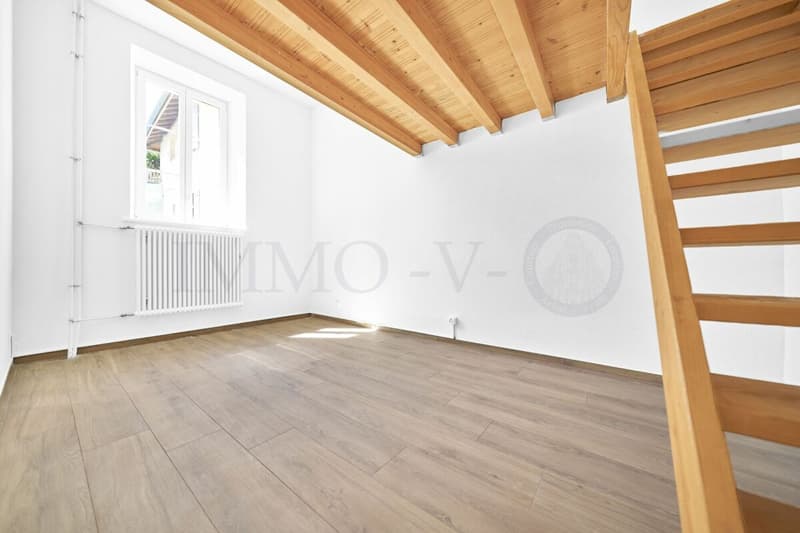SPACIEUX ET RENOVE AVEC TERRASSE ET EMPLACEMENT IDEAL (3)